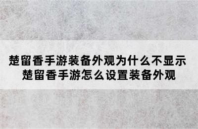 楚留香手游装备外观为什么不显示 楚留香手游怎么设置装备外观